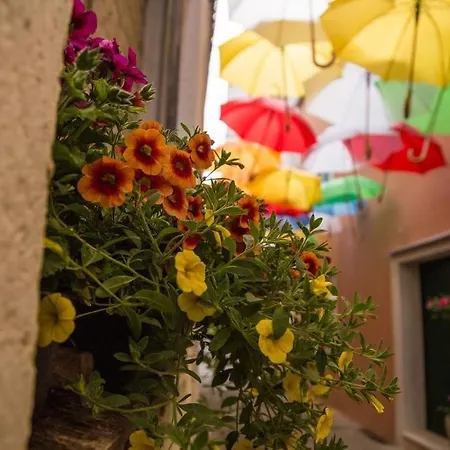 Marija 4* Sveti Filip i Jakov